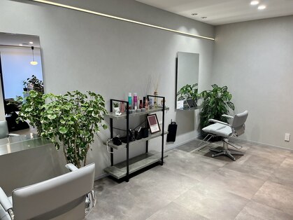 ロコン(Lokon)の写真