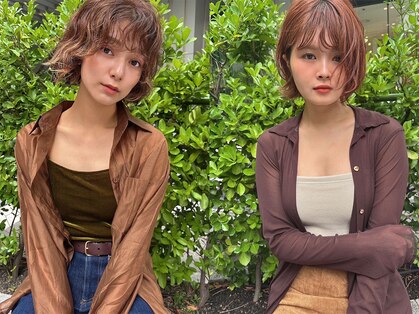 ヘルム(Helm)の写真