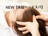 美脳ヘッドスパ(最上級育毛促進プログラム)