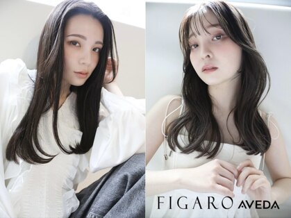 フィガロ アヴェダ(FIGARO AVEDA)の写真