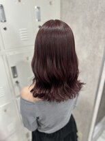 アベリア(Abelia)&nbsp;ワインレッドカラー