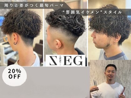 ジーク(SIEG)の写真