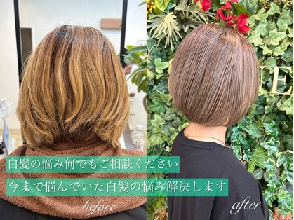 シーン(SCENE)の写真