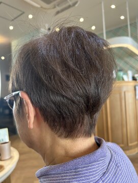 アンフィ 矢向(Anphi) 2-38 ショート