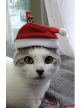 パームパム 熊谷店(Perm Pam)&nbsp;橋本 朋子