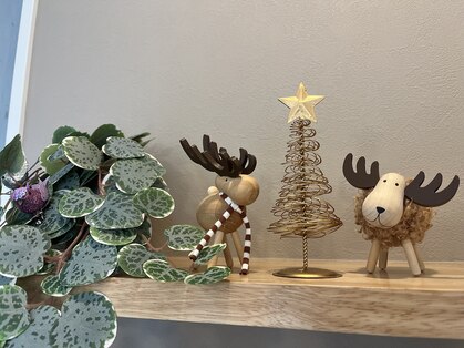 カモ(kamo.)の写真