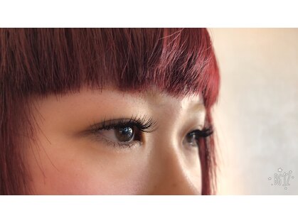 スノッブ(snob)の写真