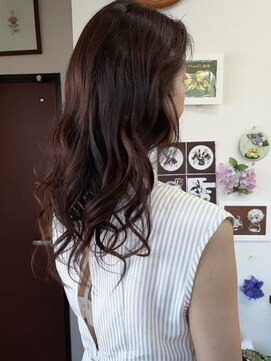 のりこの店 カラーカット