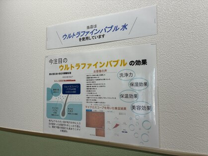 キズナ(kizuna)の写真