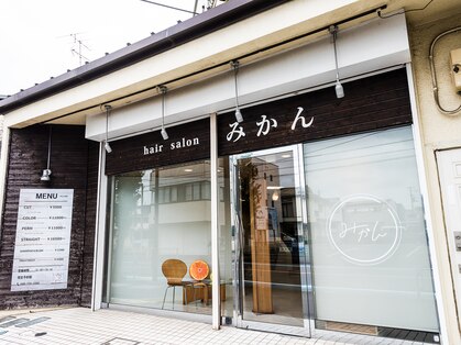みかんの写真