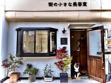 街の小さな美容室ビー(街の小さな美容室be.)の雰囲気(看板犬のボーダーコリーとお出迎えいたします)