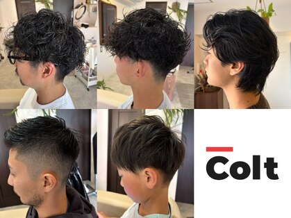 コルト(COLT)の写真