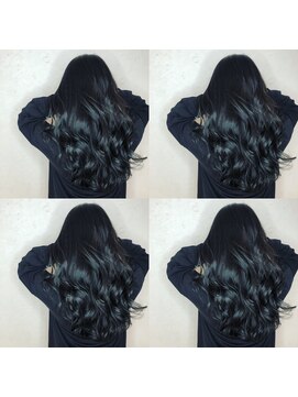 レイリア 奈良 法隆寺店(LeiLea) 【dog&hair LeiLea法隆寺】ダークブルーブラック