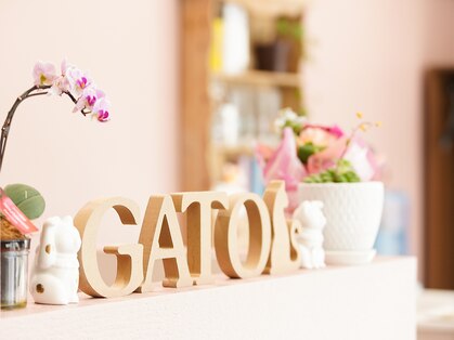 ガト 299(GATO)の写真