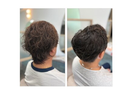 ソウ(SOU 想)の写真