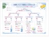 【夏キャン♪】（セルフブロー）白髪染め根本根元3cm以内＋炭酸シャンプー