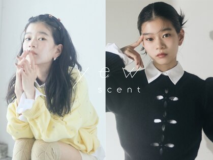 ユー セント(yew scent)の写真