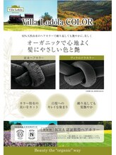 92%天然由来【オーガニック認証】のヴィラロドラカラーで髪と頭皮のダメージ、将来への不安を大幅に軽減！