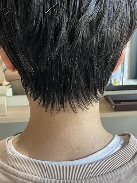 本と南風 guest design