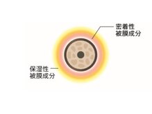 キューティクル補修（表面）