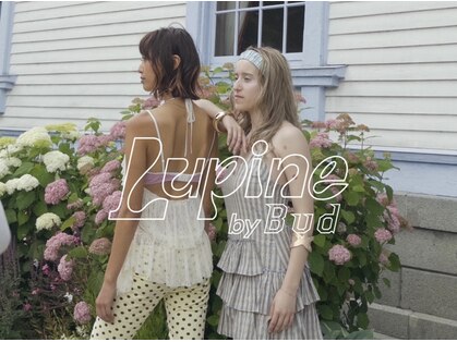 ルピネバイバド(Lupine by bud)の写真