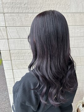 VAN COUNCIL 福井開発店(ヴァンカウンシル) ダークラベンダーカラー