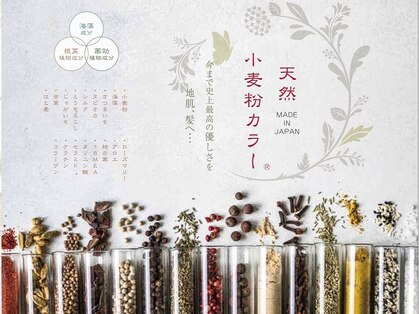 アッドランプ ヘアー 則武店(add Lamp hair)の写真