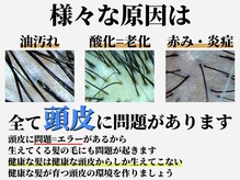 髪カルテの雰囲気（改善しない髪の原因は頭皮に問題あり！【髪質改善/縮毛矯正】）