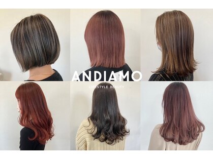 アンディアーモ ロッコ(andiamo)の写真