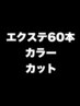 【エクステ馴染むか心配な方はこちら!】カラー+カット+シールエクステ60本