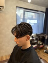 レベンディス(LEVENDIS)&nbsp;ニュアンスパーマ