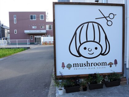 マッシュルーム(mushroom)の写真