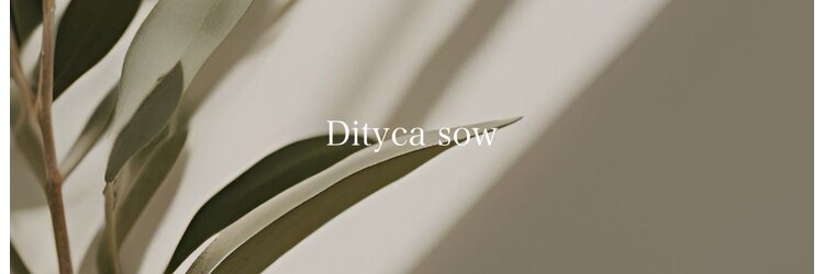 ディティカ サウ(Dityca sow)のサロンヘッダー