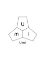 ウミ(Umi)/Umi【ウミ】