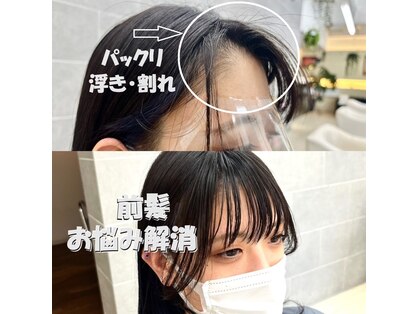 サンクレポの写真