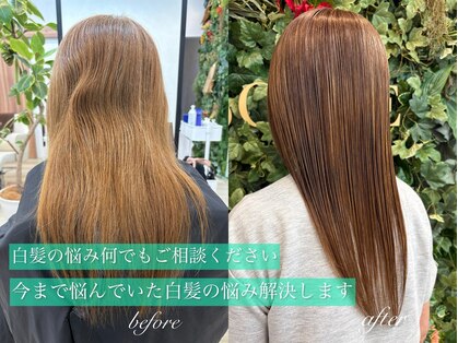 シーン(SCENE)の写真