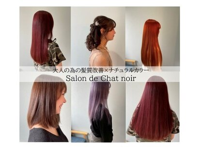 サロンドシャノワール(Salon de Chat noir)の写真