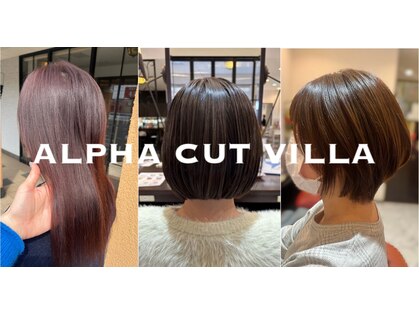 アルファ VILLA店(ALPHA)の写真