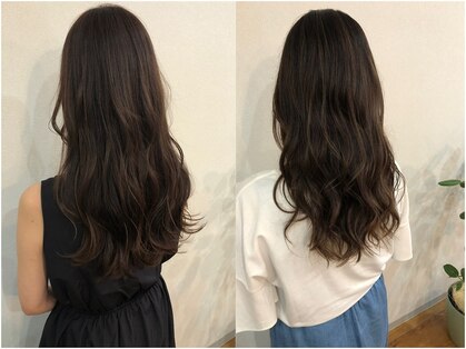 シキ(Shiki)の写真