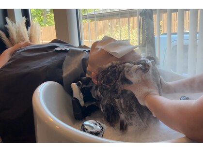 コス(kosu)の写真