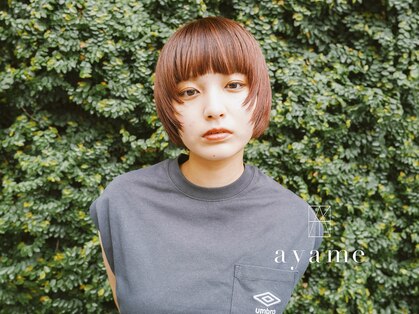 アヤメ バイ ジジ 宇都宮(ayame by Gigi)の写真