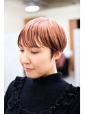 ハイトーンセクションカラー