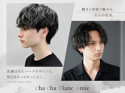 チャチャブラン アミー(cha-cha Blanc Amie)の写真
