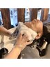 メンズカット＋炭酸スキャルプヘッドスパ（15min）［メンズサロン/眉毛］