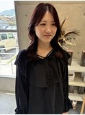 ピンクラベンダー