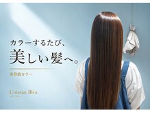 ロアゾブルーミュージアム(L'oiseau Bleu museum)