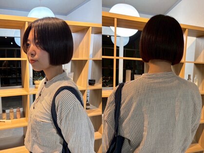 ファブ(fav)の写真