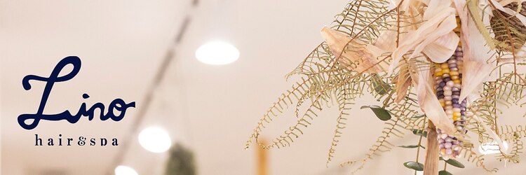 リノ 船橋(Lino)のサロンヘッダー
