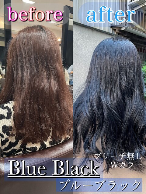 ブルーブラック/ブリーチ無しWカラー/ネイビーブルー/暗髪