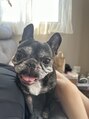 イスタ(isuta)&nbsp;フレンチブルドッグを飼ってます☆☆☆